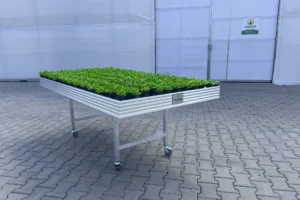 Stół wystawowy z blachą aluminiową 1,5 x 3,0m