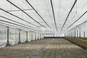 Folia podwieszkowa termiczna CLIMAFLEX 4,20m x 300mb - 50 µm