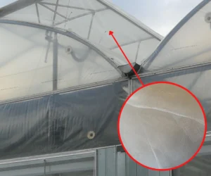 Siatka MESH 40 przeciw owadom